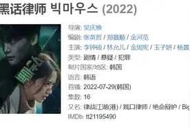 复仇爽剧《黑话律师》杀疯了！以恶制恶，够燃够爽，大快人心图片