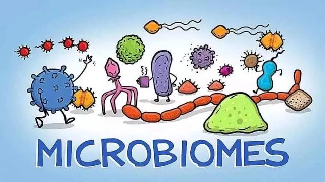 带您认识生活在我们肠道中的常见微生物“居民”