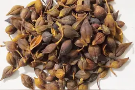中医治疗皮肤瘙痒热毒重糖尿病验方1则，止痒活血、清热解毒图片