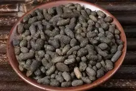 这种听起来挺灵的中药竟然是“老鼠”的粪便图片