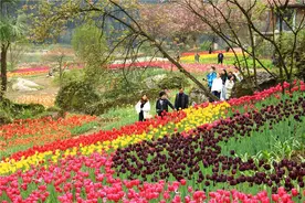 春有约，我不负 | 春日踏青游山玩水看风景，赶紧安排上图片