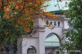 苏州大学，全球进步最快，干掉一半的985？多少分才能考上呢图片