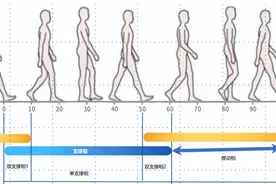 步态分析丨行走的秘密，为什么每个人都需要了解图片