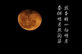 我本将心向明月，奈何明月照沟渠图片