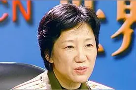 白皮书是什么意思图片