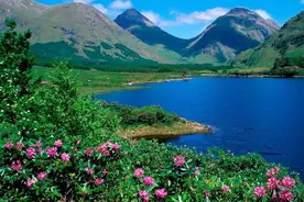 容易得罪人的生肖，做事太过固执，不考虑他人感受图片