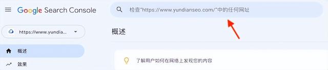 �ȸ�SEO��ʲô��˼����ó��վ�ȸ��Ż���ô����