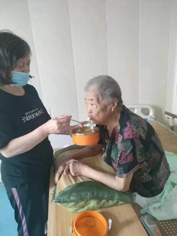 谁言寸草心 报得三春晖