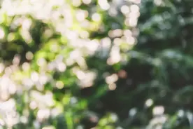 最容易读错被嘲笑“文盲”的24个词语，你能读对几个？图片