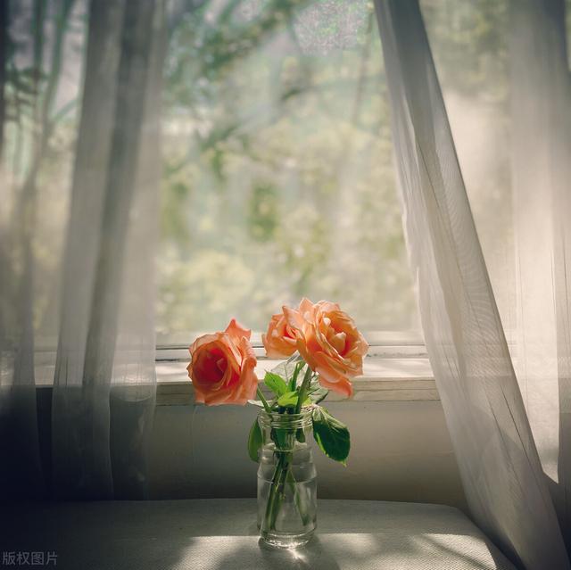 腺癌术后后能吃花胶吗 腺癌术后后能吃花胶吗有营养吗