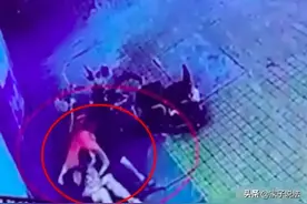 男子酒后打赌猥亵醉酒女生图片