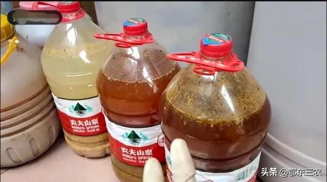 农村人在城市阳台上种菜，可自制3种液体肥料，肥效非常明显