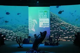 SSTV x PEAK 海洋主题环保公益时装秀惊艳第三届消博会图片