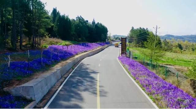 四川省民生研究会新媒体中心-官网