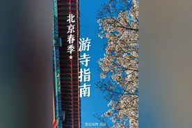 别再去雍和宫人挤人了，看看这些北京宝藏小众寺庙图片