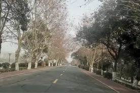 教师资格证，面试很难吗？图片