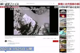 南极出现5米长的神秘骸骨，专家揭秘却扎了网友的心:这不是我吗?图片