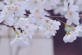 异性这么待你，十有八九动了真心图片