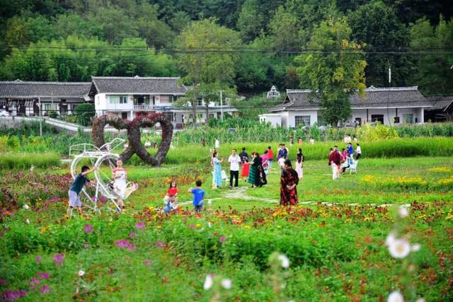 四川省民生研究会新媒体中心-官网