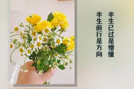 人生感悟｜花有花期，人有时运；怀爱有诚，静待来日图片