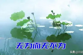 什么是“无为”？为什么“无为”就能“无不为”？图片