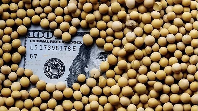 猝不及防，巴西大豆暴涨80%逼宫？中国终于亮出底牌，邻国狂喜！