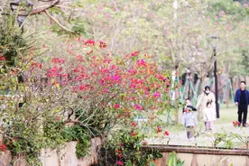 收藏！粤西暖冬旅游精品线路公示，湛江有这些景点→图片
