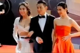 刘德华出席红毯活动，被性感女网红强行挽手合影，处理方式绅士！图片