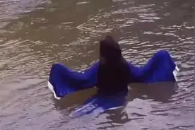 为啥鬼片不能在我国上映？图片