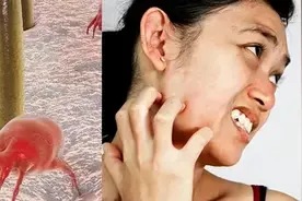 睡了这么多年，才知道凉席要这样洗图片