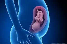 胎儿智商发育有“三大高峰”，抓住能让宝宝更聪明，很多人不知道图片