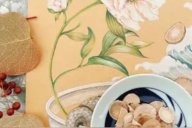 美翻了！在台湾中医师笔下，中药化为疗愈插画图片