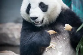 这个“六一”去哪玩？沈阳文旅场所童趣多！图片