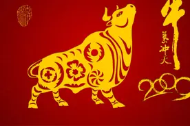 中粮科技投资逻辑图片