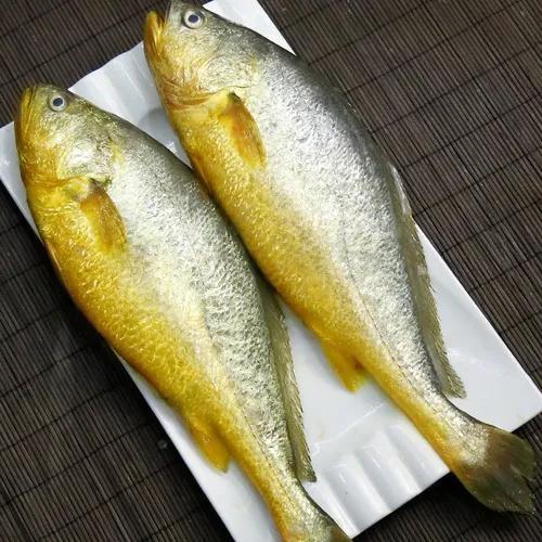 生活中常见的无刺(少刺)鱼