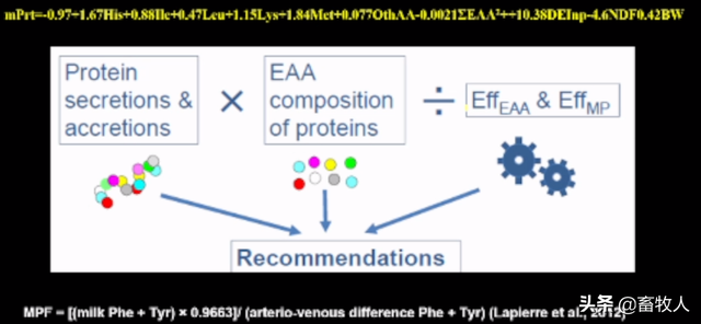 「学习笔记」卜登攀研究员：过瘤胃氨基酸生物利用率评价与利用