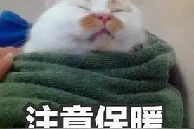 孙俪近照颜值大跌显老无灵气，泡脚吃素无效养生！网友大呼图片