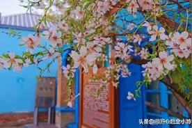 新疆伊宁旅游景点有哪些？找到这十三个地方，快去感受它的美好吧图片