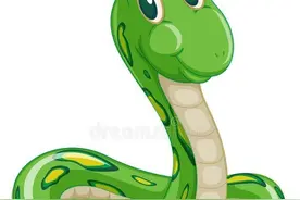 杭州一女子夜晚去卫生间，被菜花蛇咬伤屁股，医生说没事图片