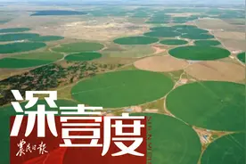 国产苜蓿，如何打破增产瓶颈？图片