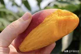 百色贵妃芒，高颜值外表赏心悦目，咬一口爆炸甜蜜，瞬间填满空气图片