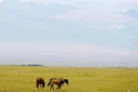 独库公路第一天，打卡布达拉宫、巴音郭楞草原、大小龙池、天鹅湖图片