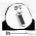 老外聊天时常用的“fs”“lmao”到底啥意思？学点英文缩写
