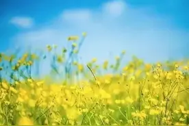 宝贝高二的幸福生活(十五)——有人欢喜，有人忧图片