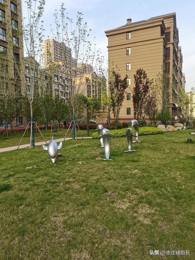 枣庄新城小区探访——南石大盘：水辰•君悦府