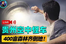 1994年，贵阳的都溪林场树木被拦腰截断，形成了一个奇怪的轨迹图片