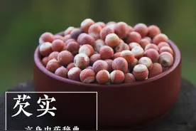 芡实（固精缩尿止带药）图片