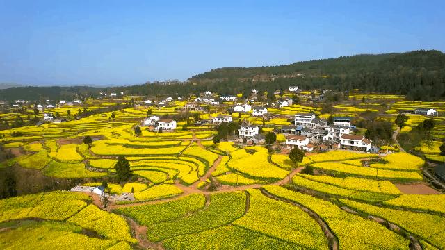 四川省民生研究会新媒体中心-官网