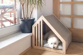 如果你家也有宠物，第一步做好人宠分区，居住舒适度升级很快乐图片