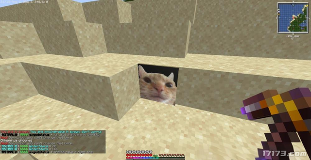 太癫了！千万玩家集体「指猫为鼠」，还成了腾讯王牌游戏的新宠儿